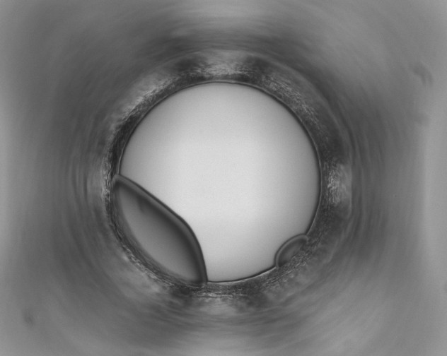 X0000110890732200907021517