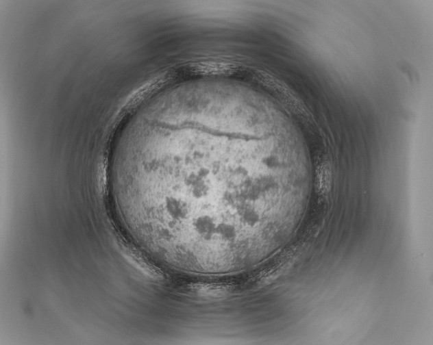 X0000110890733200907021517