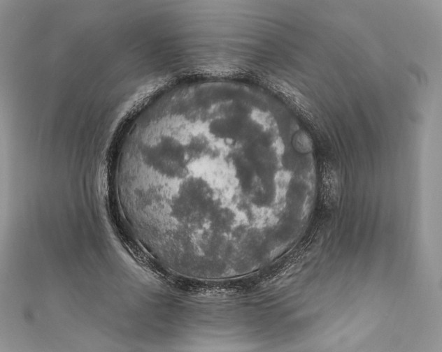 X0000110890734200907021517