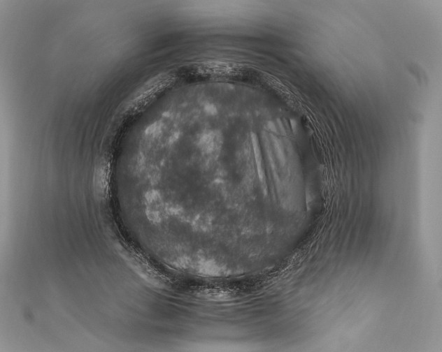 X0000110890735200907021517