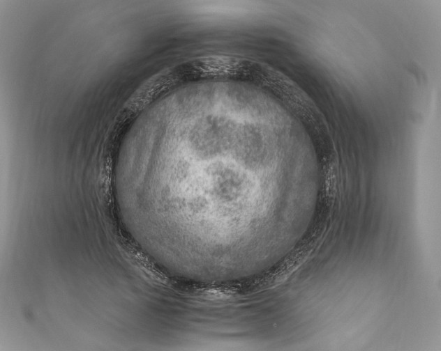 X0000110890737200907021517