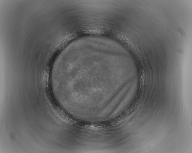 X0000110890739200907021517