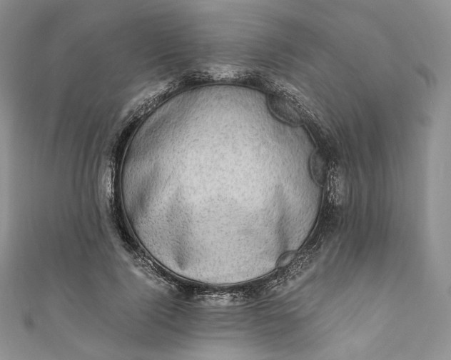 X0000110890740200907021517