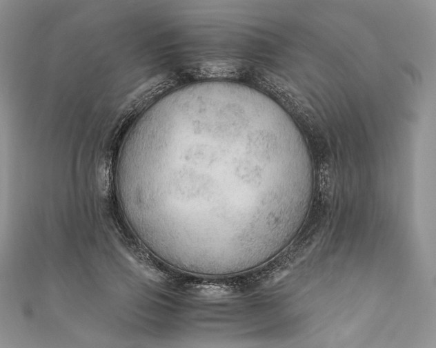 X0000110890741200907021517