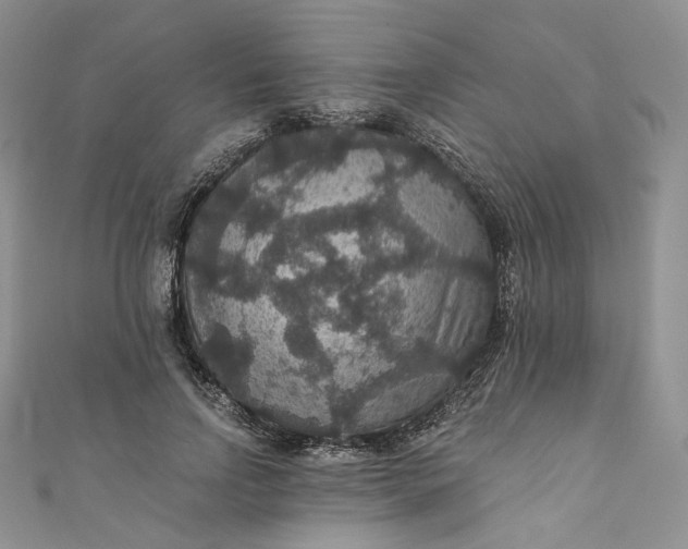 X0000110890742200907021517