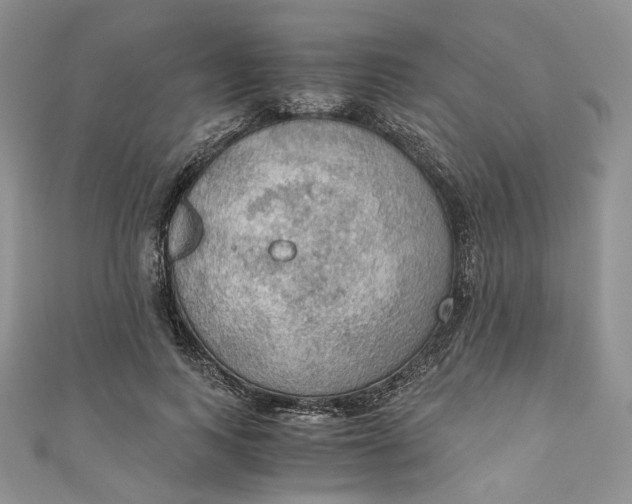 X0000110890743200907021517