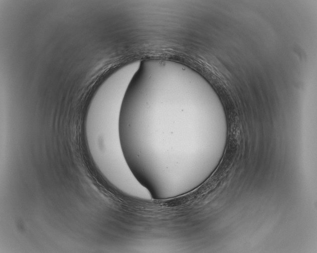 X0000110890744200907021517