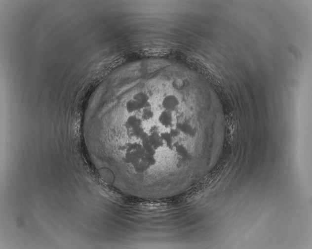 X0000110890745200907021517