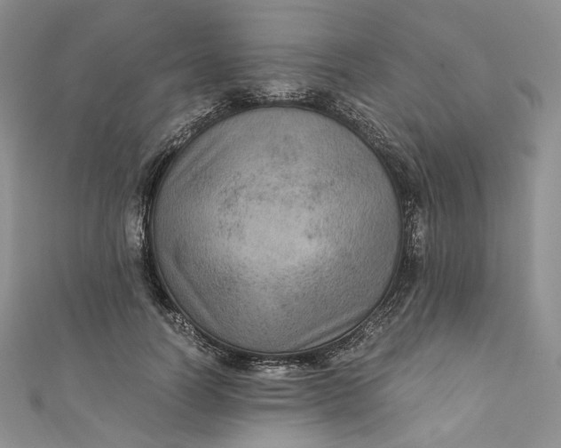 X0000110890746200907021517