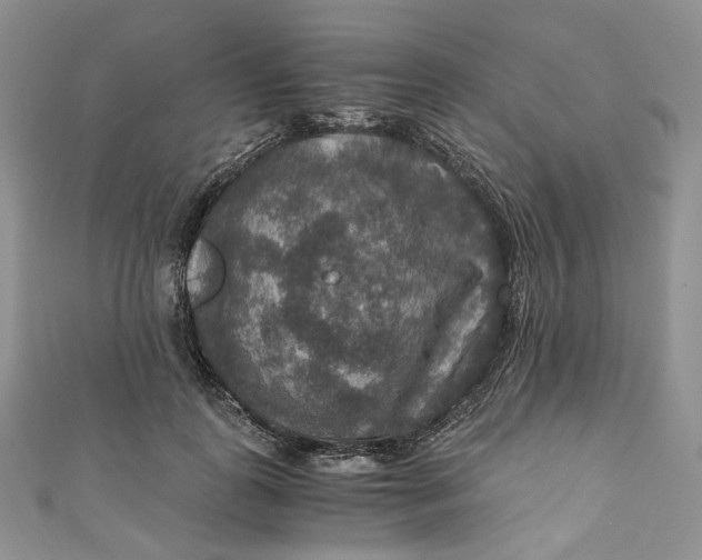 X0000110890747200907021517