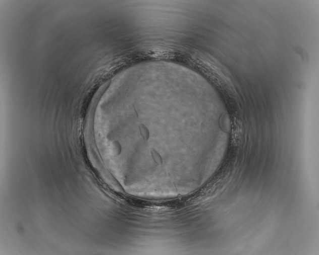 X0000110890748200907021517