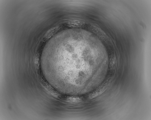 X0000110890749200907021517