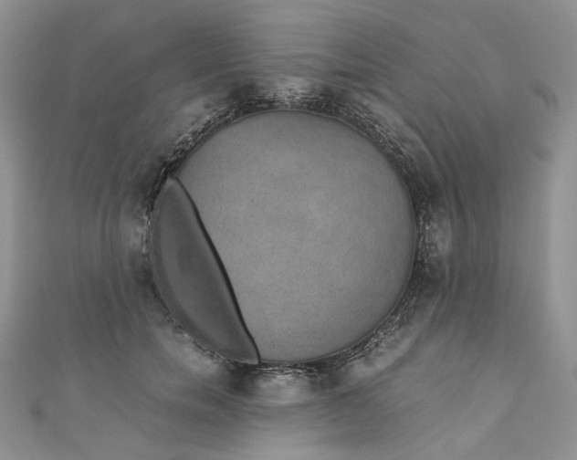 X0000110890750200907021517