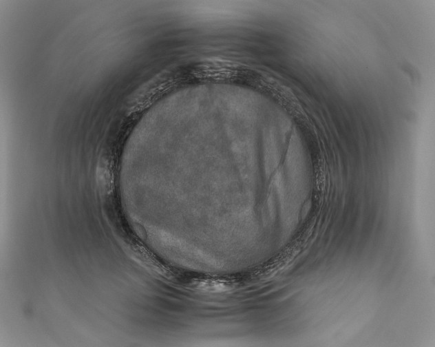 X0000110890751200907021517