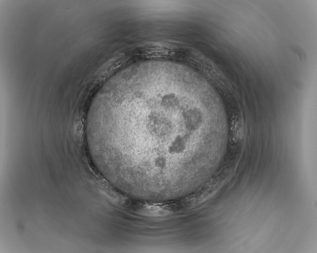 X0000110890753200907021517