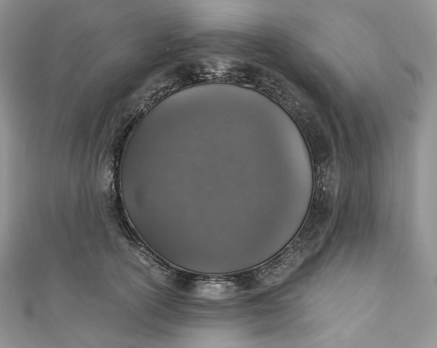 X0000110890754200907021517