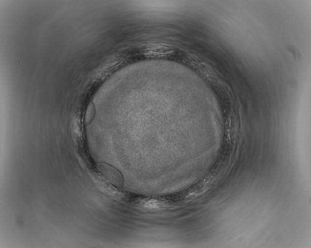 X0000110890755200907021517