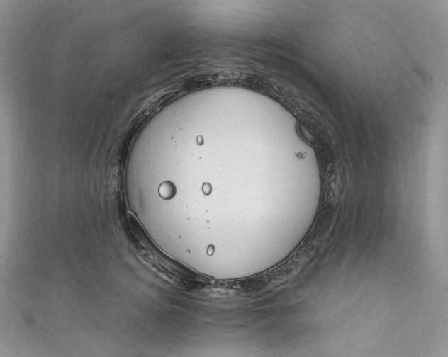 X0000110890756200907021517