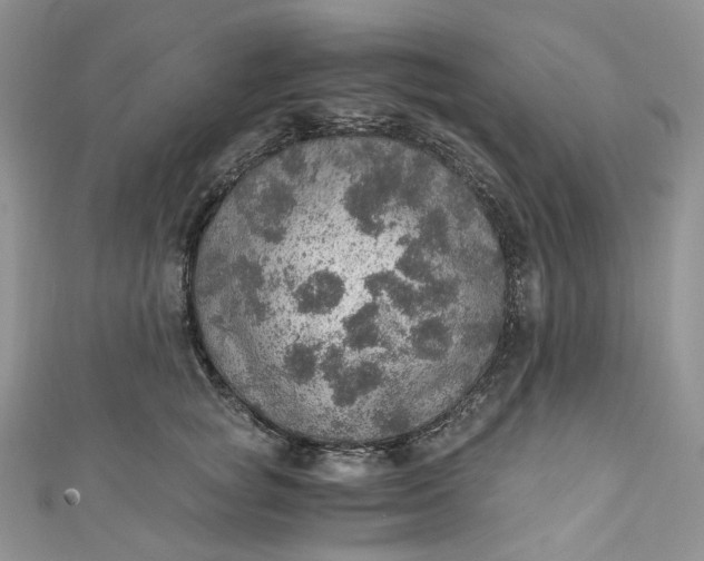 X0000110890757200907021517