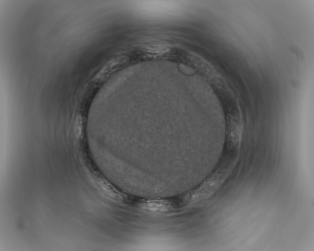 X0000110890758200907021517