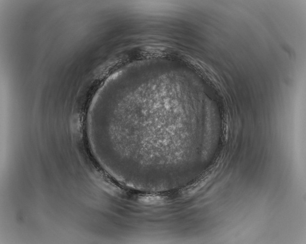 X0000110890759200907021517