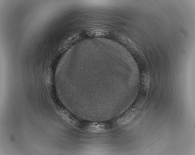 X0000110890760200907021517