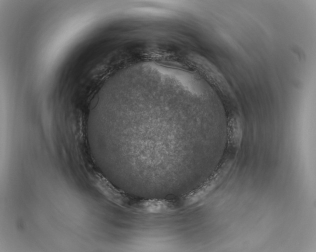 X0000110890762200907021517