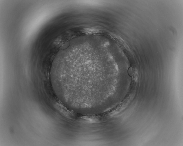 X0000110890763200907021517