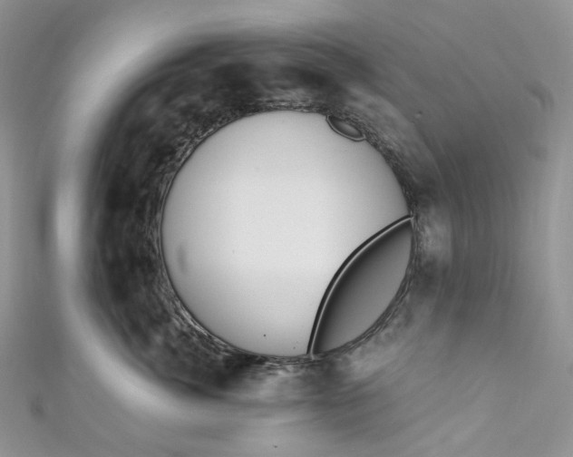 X0000110890764200907021517