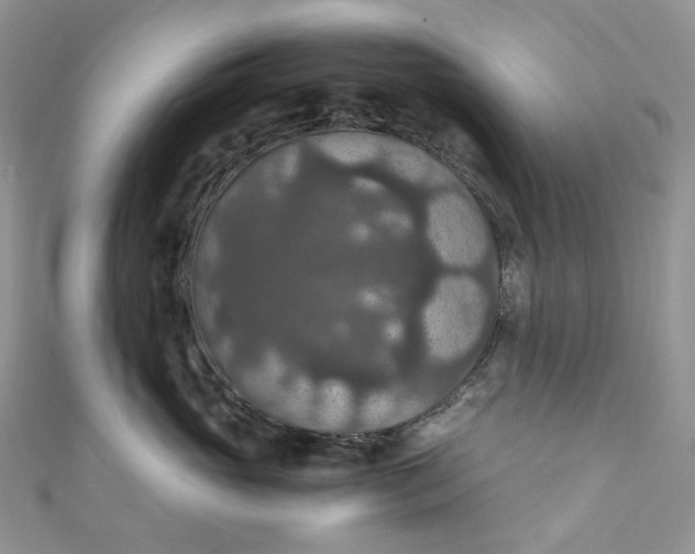 X0000110890765200907021517