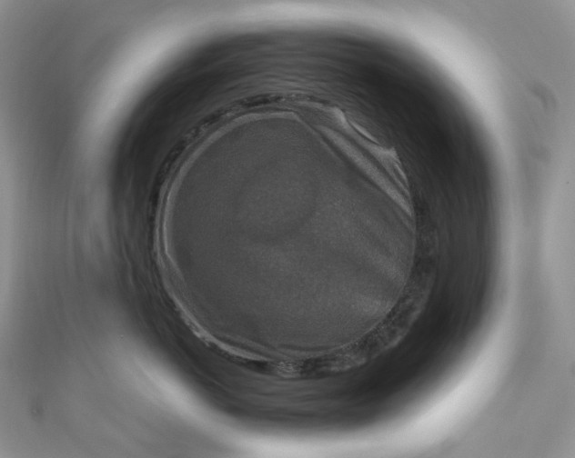 X0000110890766200907021517