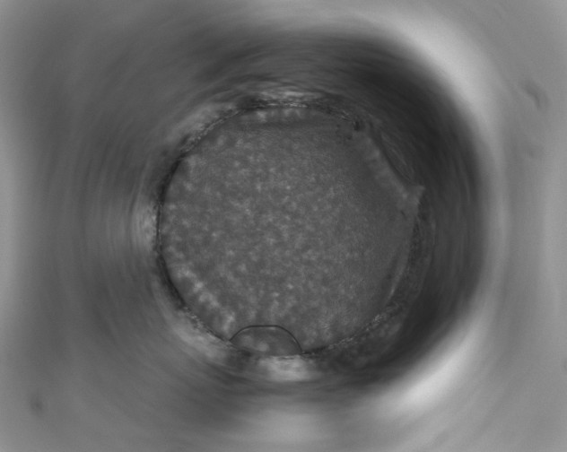 X0000110890767200907021517