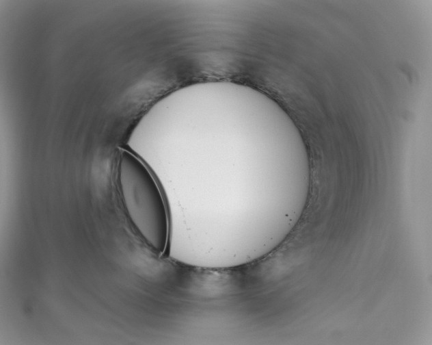 X0000110890768200907021517