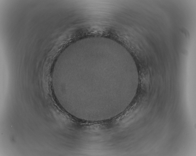 X0000110890769200907021516