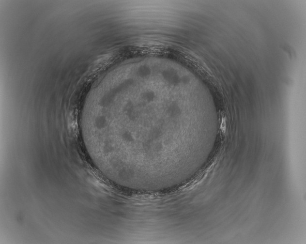 X0000110890771200907021516