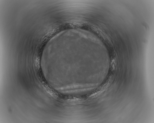 X0000110890772200907021516