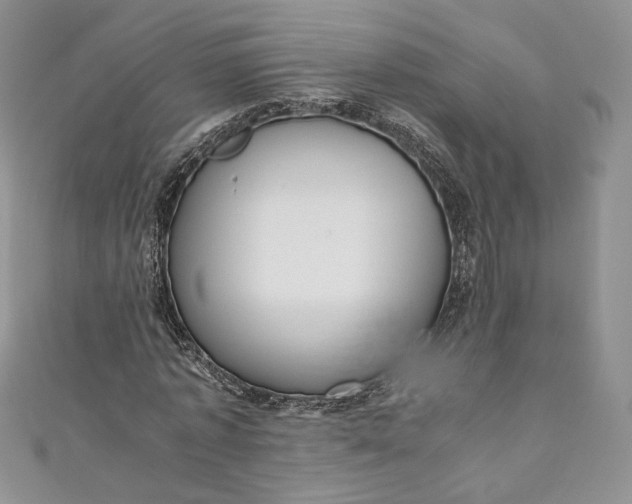 X0000110890773200907021516