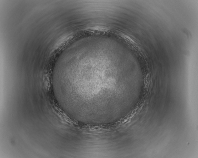 X0000110890774200907021516