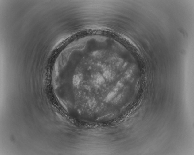 X0000110890775200907021516