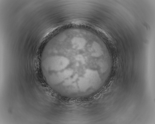 X0000110890776200907021516