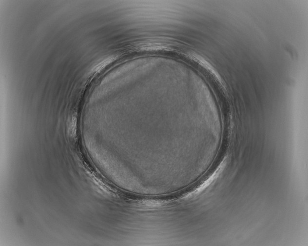 X0000110890777200907021516