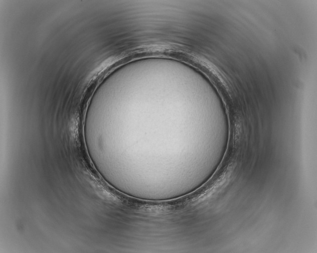 X0000110890778200907021516