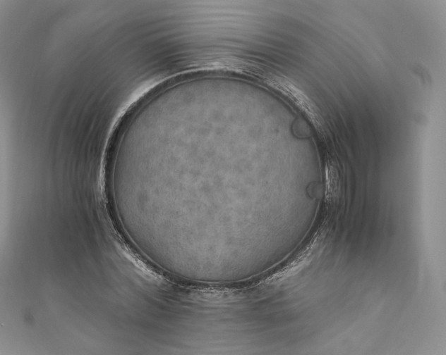 X0000110890780200907021516