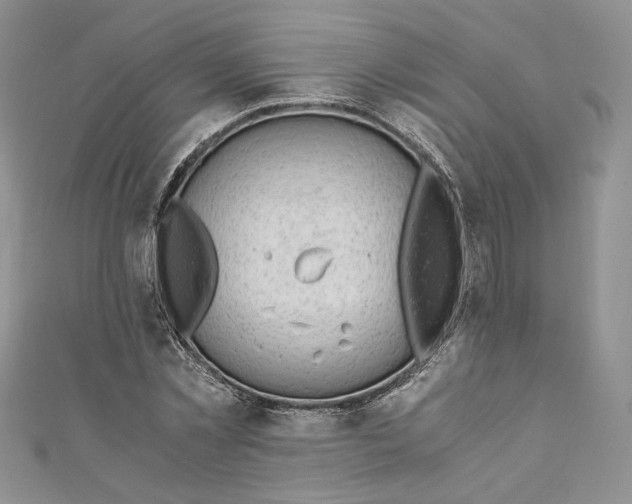 X0000110890781200907021516