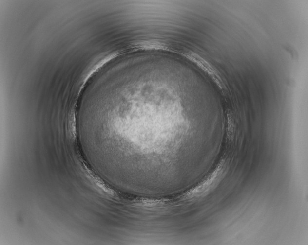 X0000110890782200907021516