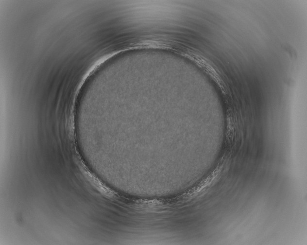 X0000110890784200907021516