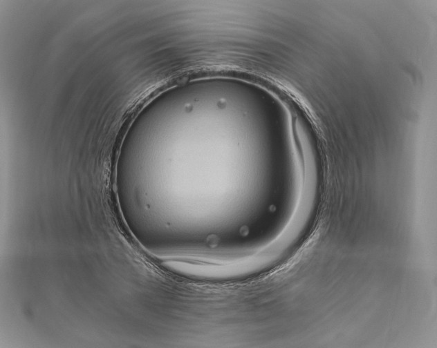 X0000110890785200907021516