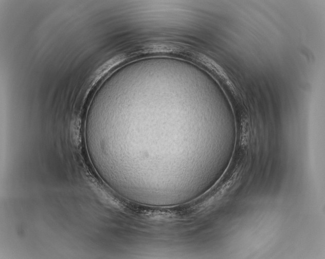 X0000110890786200907021516