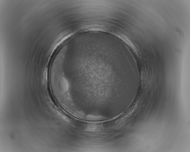 X0000110890790200907021516