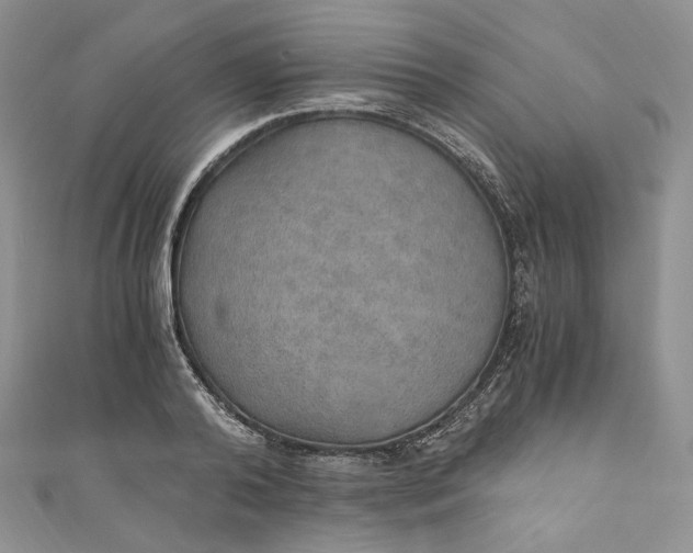 X0000110890792200907021516